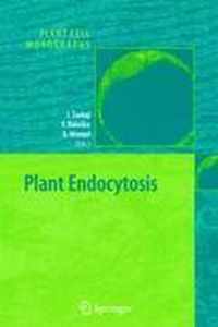 Plant Endocytosis