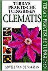 Clematis