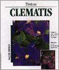 Clematis