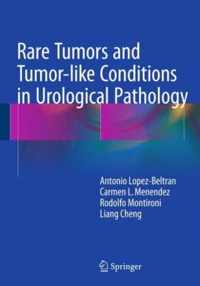 Rare Tumors and Tumor-like Conditions in Urological Pathology