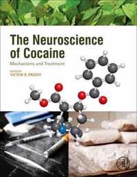 The Neuroscience of Cocaine