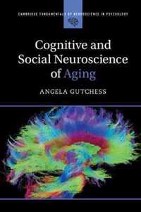 Cognitive and Social Neuroscience of Aging