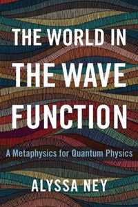The World in the Wave Function