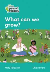 Level 3 - What can we grow? (Collins Peapod Readers)
