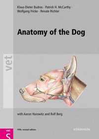 Anatomy of the Dog