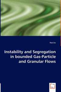 Instability and Segregation in bounded Gas-Particle and Granular Flows