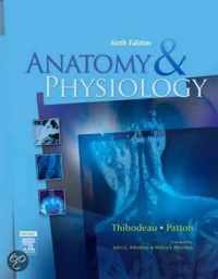 Anatomy and Physiology