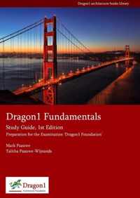 Dragon1 fundamentals