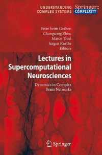 Lectures in Supercomputational Neuroscience