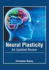 Neural Plasticity