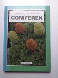 Coniferen