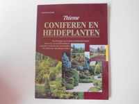 Coniferen en heideplanten