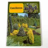 Coniferen