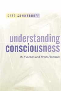 Understanding Consciousness