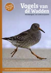 Vogels van de Wadden