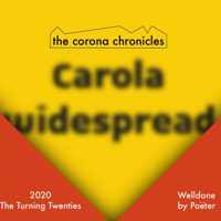 The Corona Chronicles - Poëter Kok - Paperback (9789464181524)