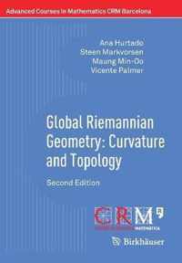 Global Riemannian Geometry
