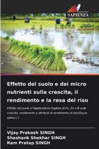 Effetto del suolo e dei micro nutrienti sulla crescita, il rendimento e la resa del riso