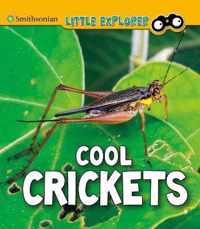 Cool Crickets