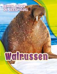 Leven onder de zeespiegel  -   Walrussen