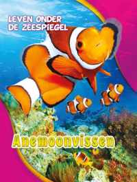 Leven onder de zeespiegel  -   Anemoonvissen