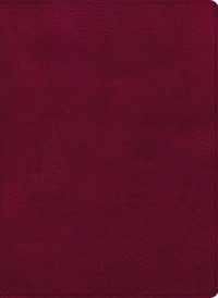 CSB Holy Land Illustrated Bible, Burgundy Leathertouch: A Visual Exploration of the People, Places, and Things of Scripture