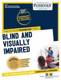 Blind and Visually Impaired (CST-3)
