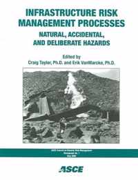 Infrastructure Risk Management Processes