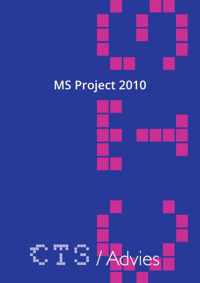 MS Project 2010