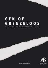 Gek of Grenzeloos