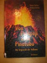 Von Pompeji Zum Pinatubo