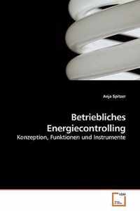 Betriebliches Energiecontrolling