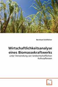 Wirtschaftlichkeitsanalyse eines Biomassekraftwerks