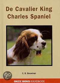 Cavelier king charles spaniel