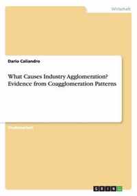 What Causes Industry Agglomeration? Evidence from Coagglomeration Patterns