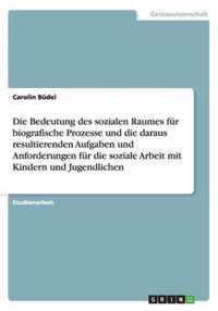 Die Bedeutung des sozialen Raumes fur biografische Prozesse und die daraus resultierenden Aufgaben und Anforderungen fur die soziale Arbeit mit Kindern und Jugendlichen