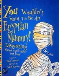 An Egyptian Mummy