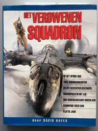 Het verdwenen squadron