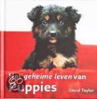 Geheime leven van Puppies