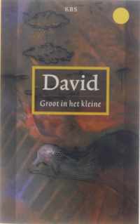 David