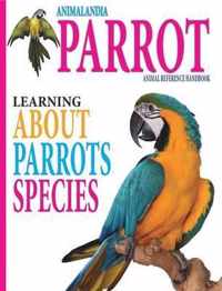 Animalandia Parrot: Learning About Parrot Species