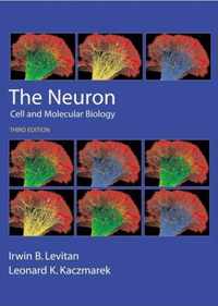 The Neuron