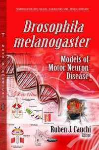 Drosophila Melanogaster Models of Motor Neuron Disease