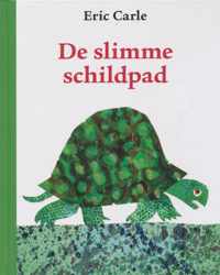 De slimme schildpad