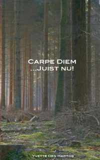 Carpe Diem juist nu! - Yvette den Hartog - Paperback (9789461935458)