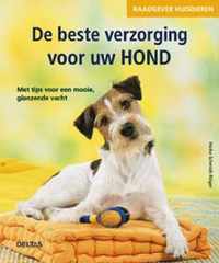 De beste verzorging voor uw hond