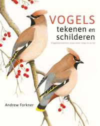 Vogels tekenen en schilderen