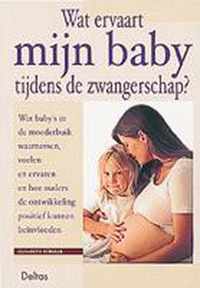 Wat Ervaart Mijn Baby Tijdens De Zwangerschap?