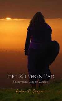 Het zilveren pad