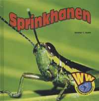 Wonderlijke wereld  -   Sprinkhanen